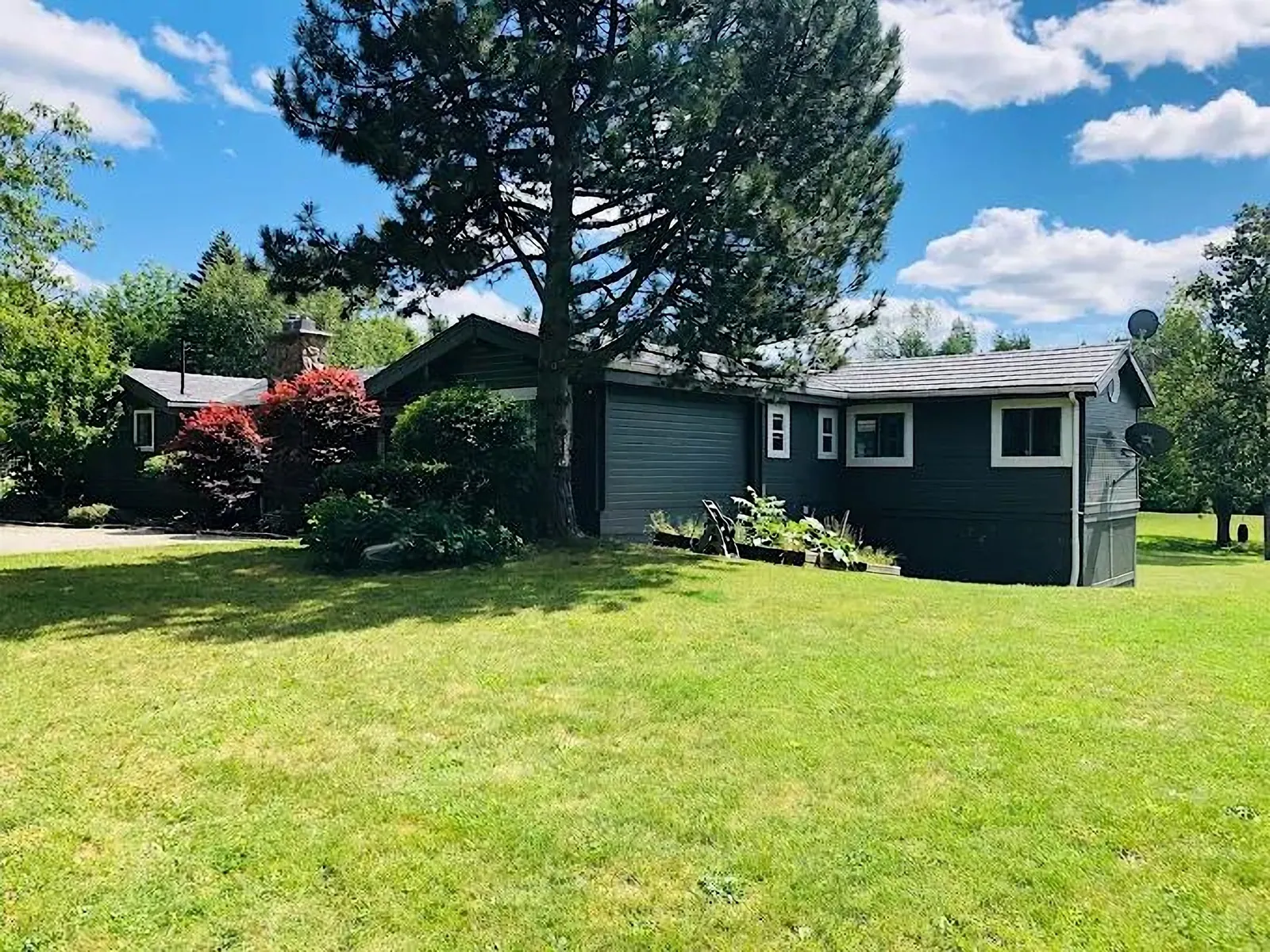 Dark painted bungalow on a sunny lawn